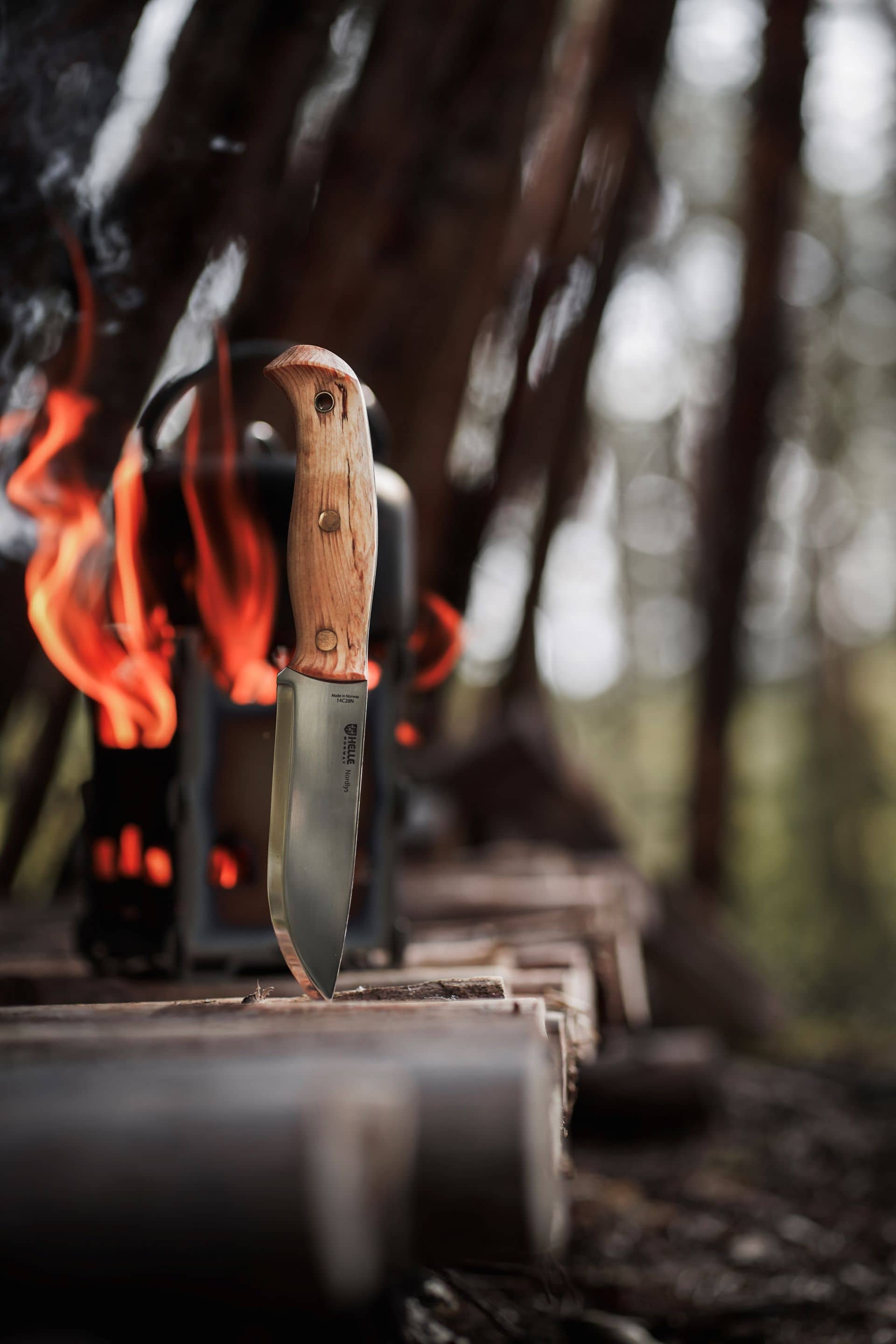 helle-nordlys-bushcraftmesser-fulltang-14c28n-scandi-12-2cm image 7