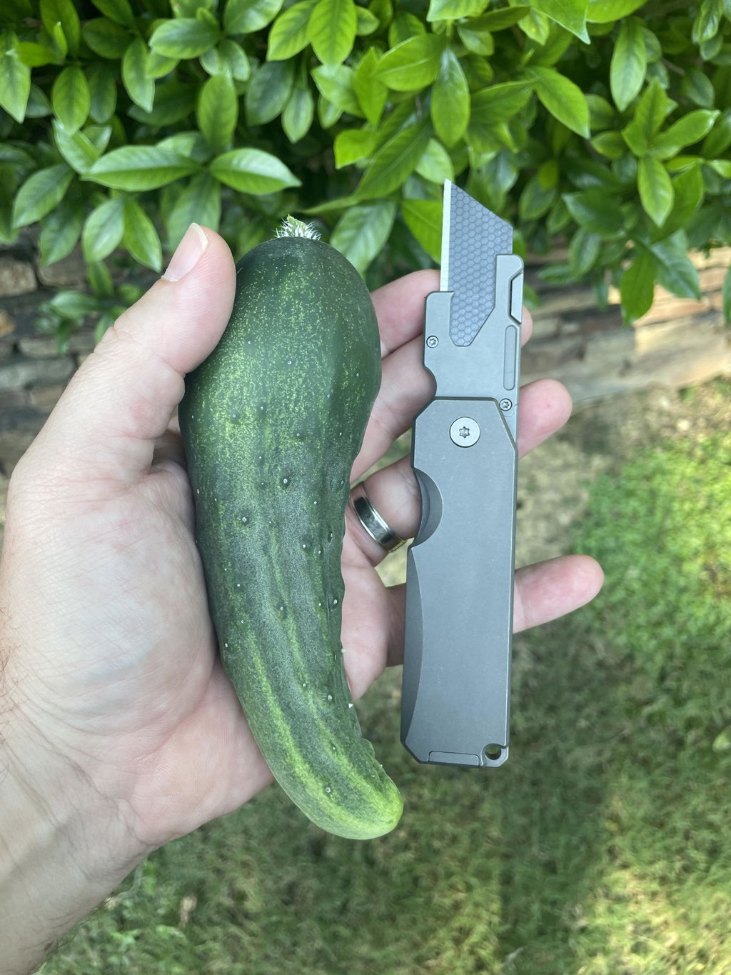 Schick und nützlich