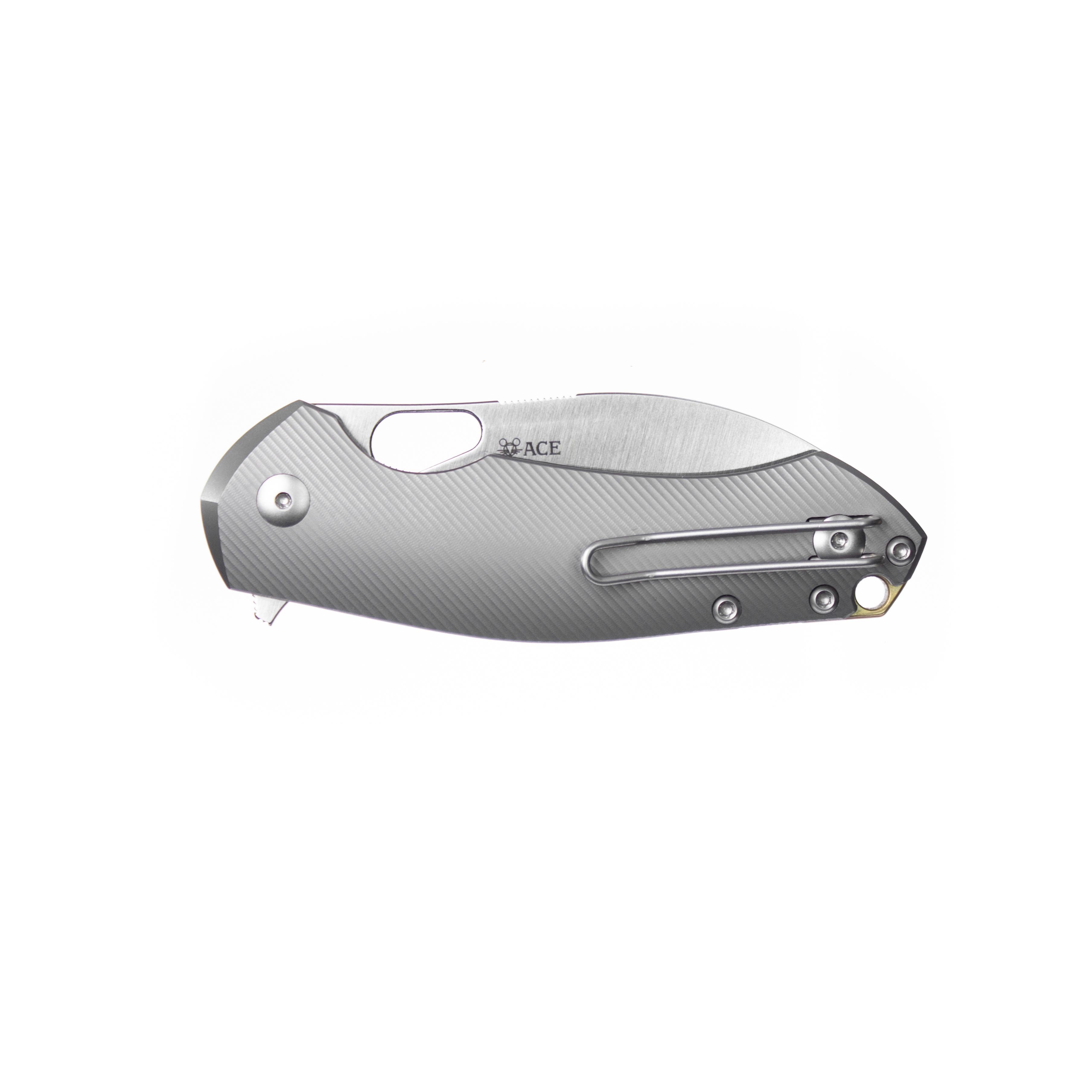 giantmouse-ace-biblio-xl-klappmesser-titan-magnacut image 8