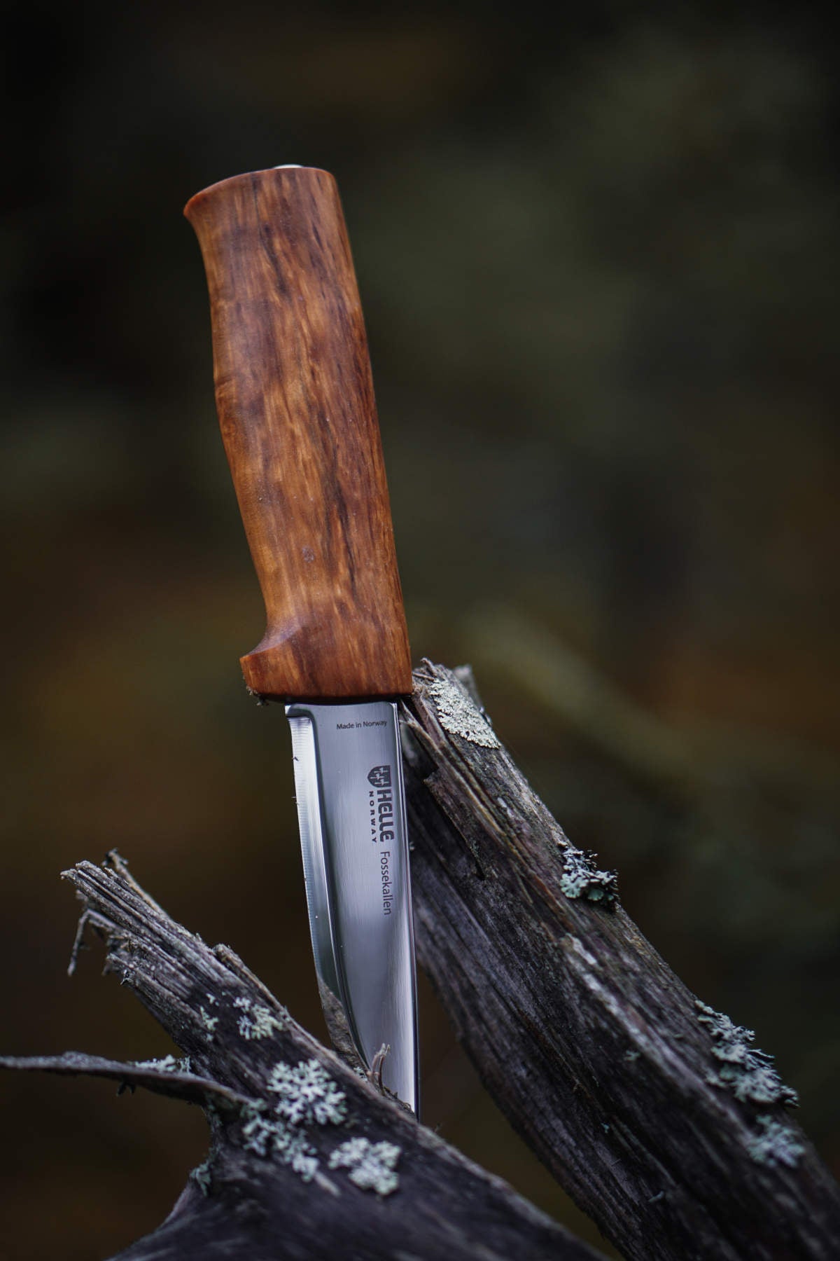 helle-fossekallen-outdoor-messer-maserbirke-90-mm image 4