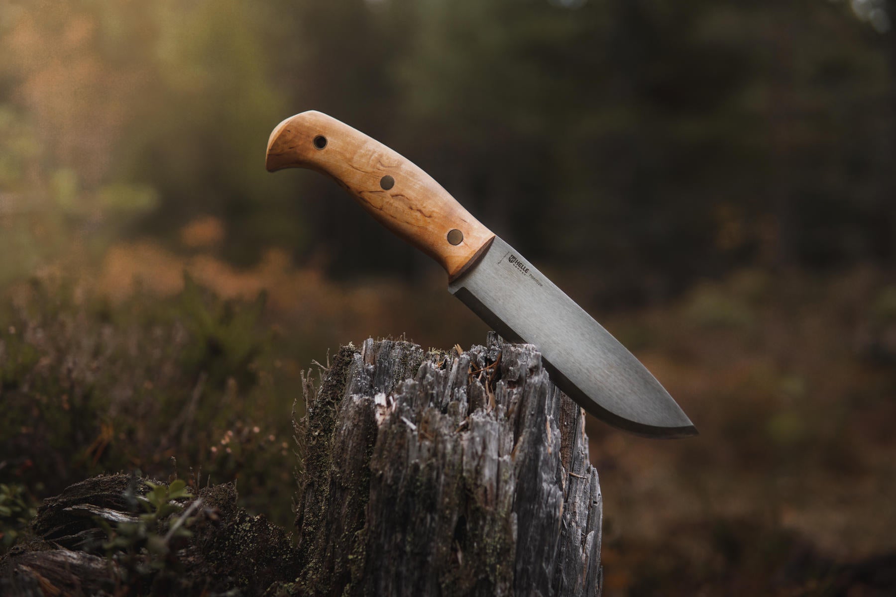 helle-nord-fulltang-outdoormesser-maserbirke-147mm image 2