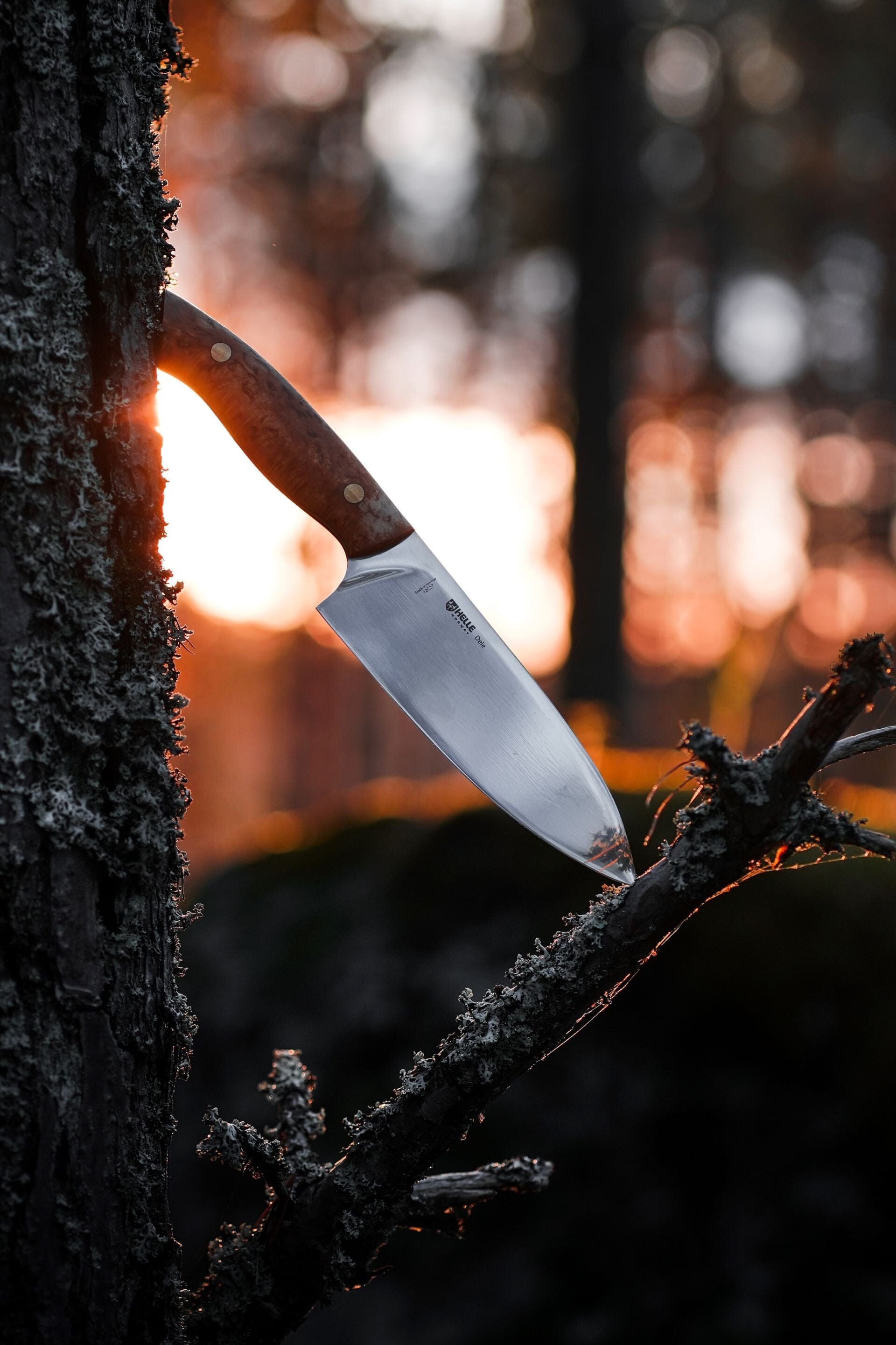 helle-dele-margit-dale-kochmesser-full-tang-birke-outdoor image 3
