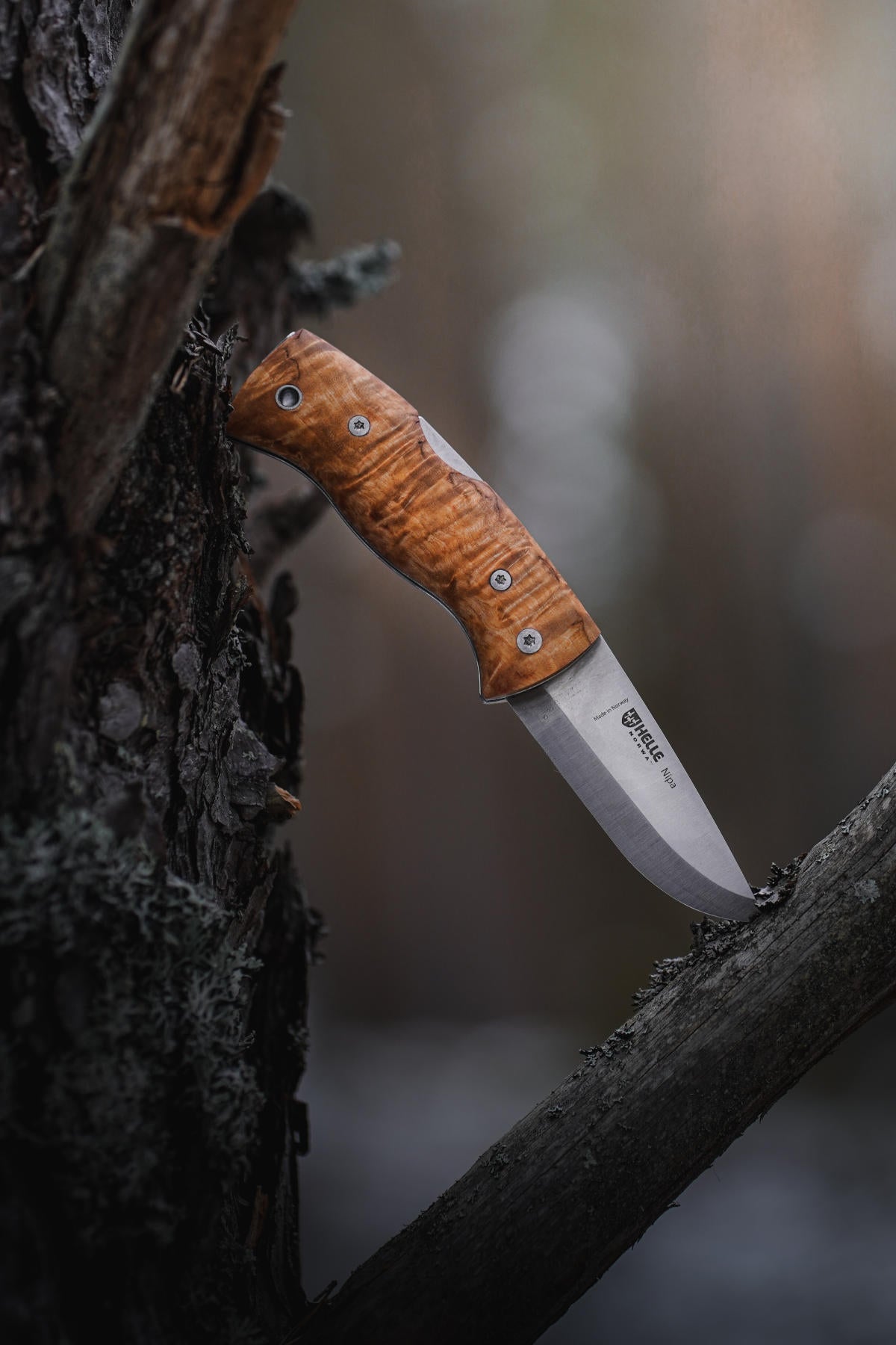 helle-nipa-klappmesser-maserbirke-69-mm-edc-rostfrei image 6