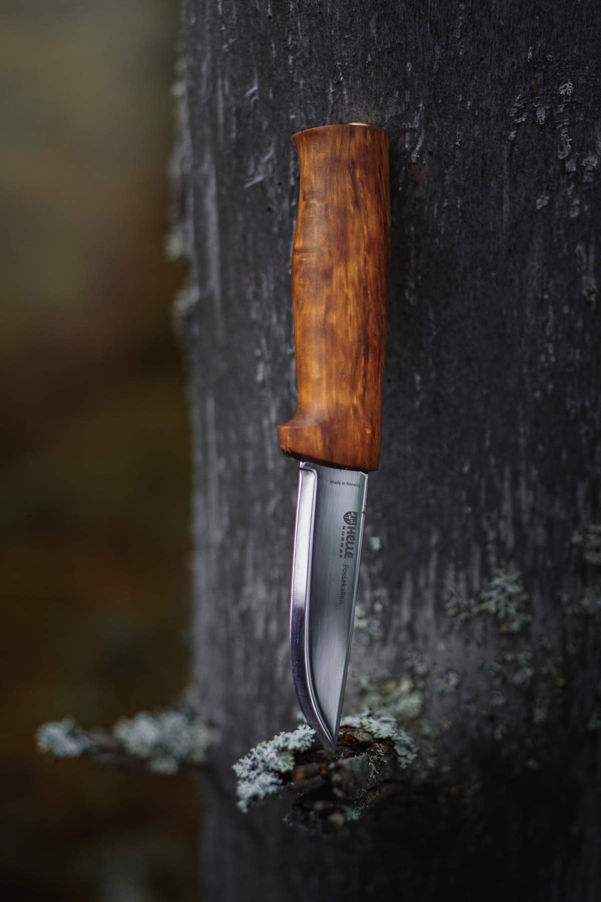 helle-fossekallen-outdoor-messer-maserbirke-90-mm image 6