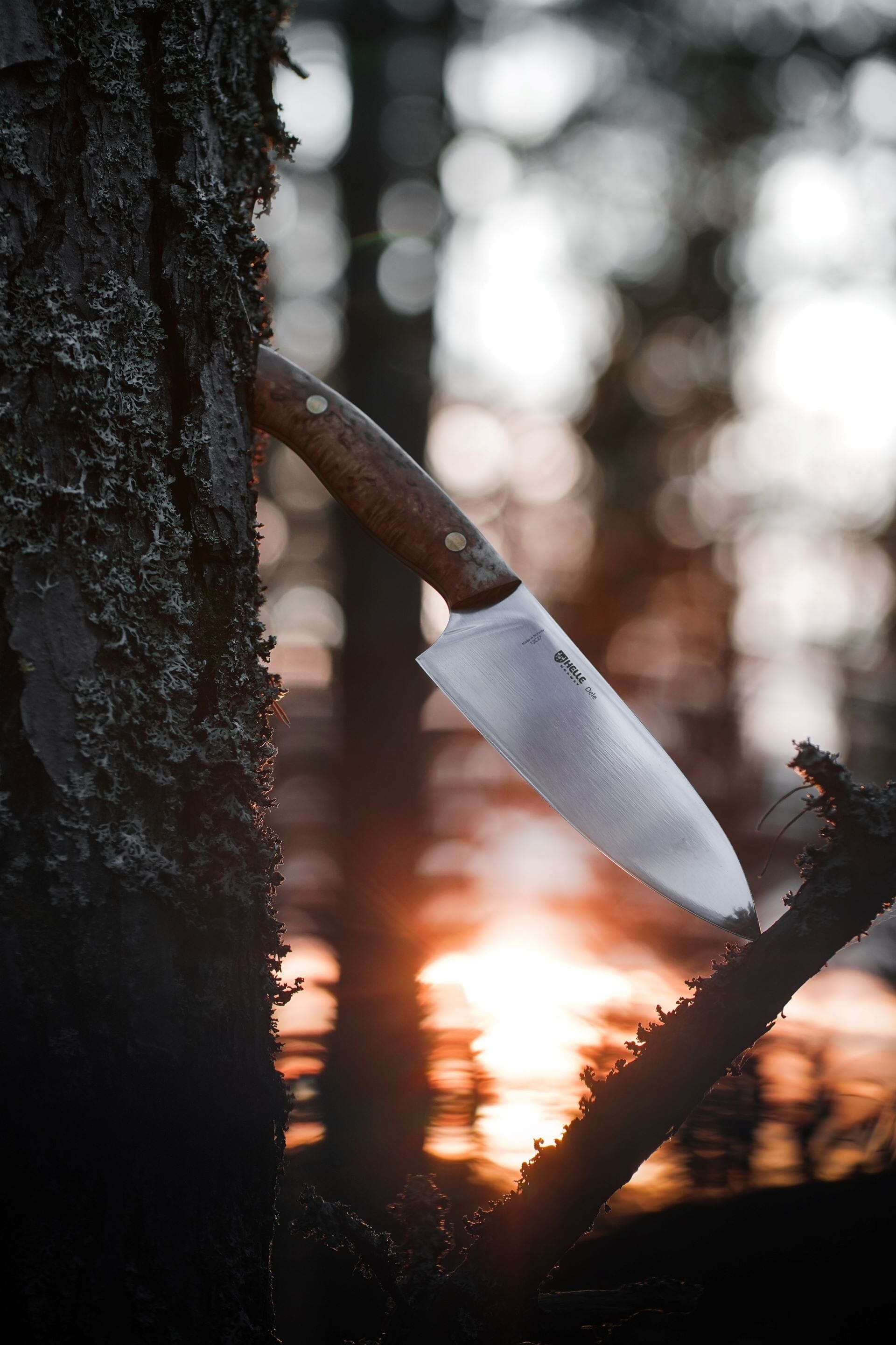 helle-dele-margit-dale-kochmesser-full-tang-birke-outdoor image 2