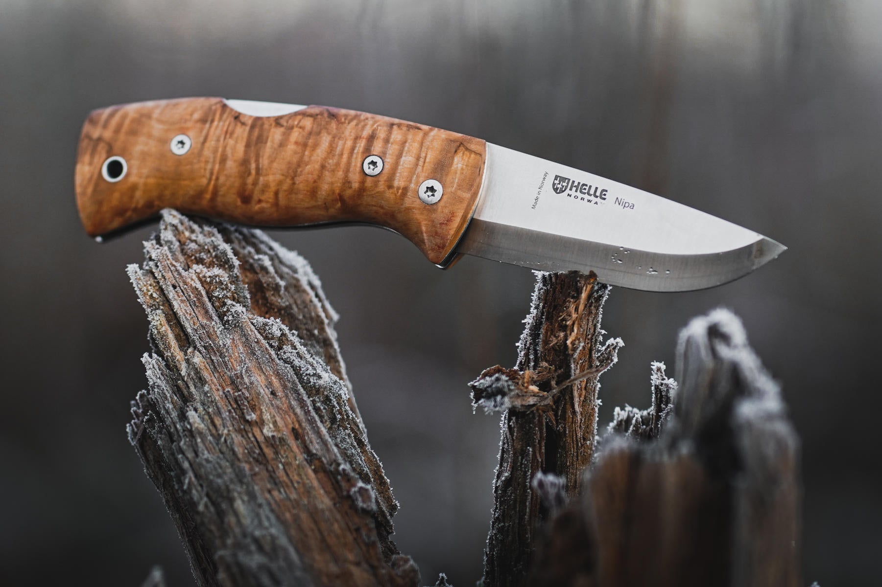 helle-nipa-klappmesser-maserbirke-69-mm-edc-rostfrei image 2
