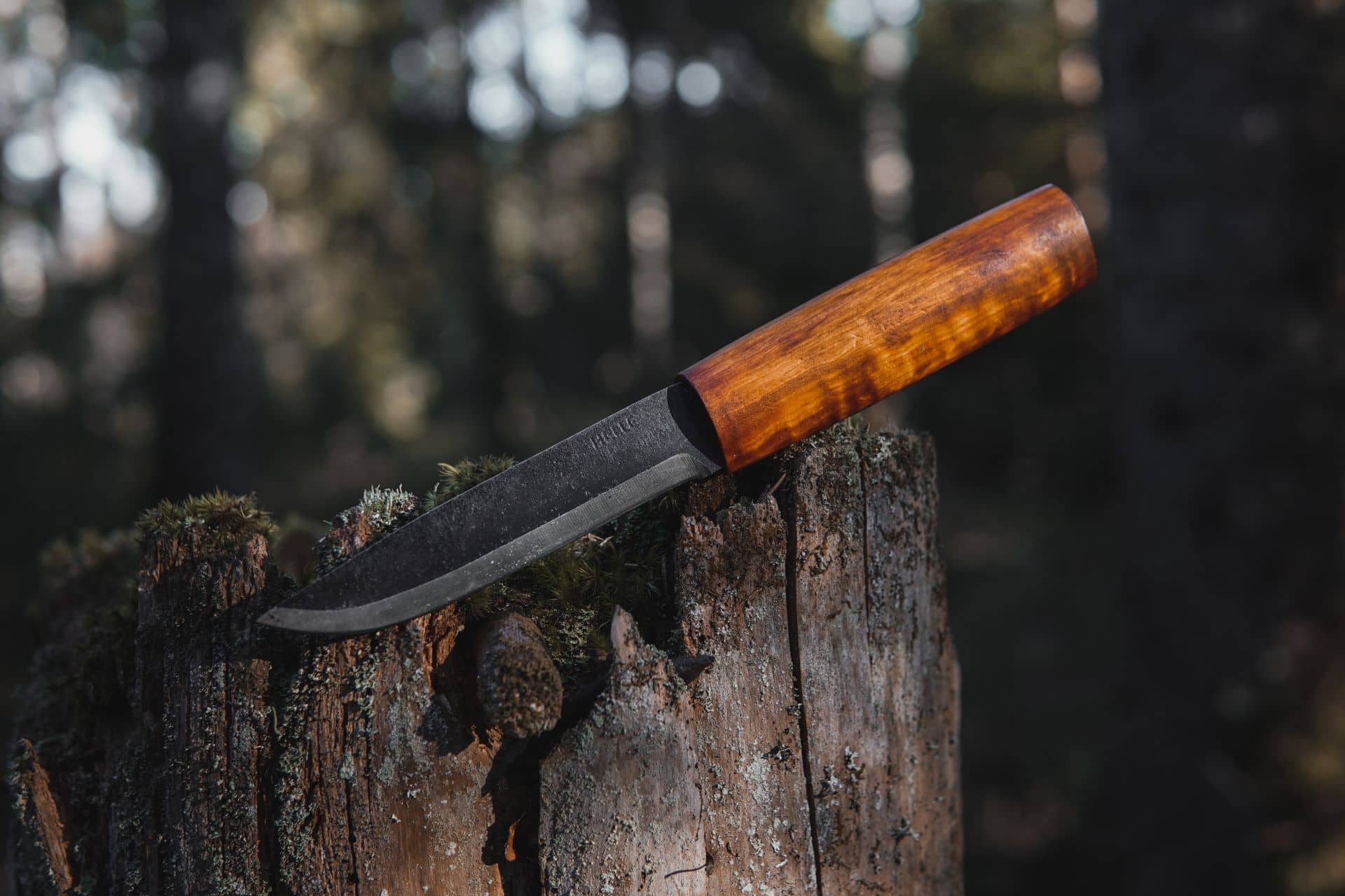 helle-turkniv-viking-wikingermesser-carbon-110mm-maserbirke image 5