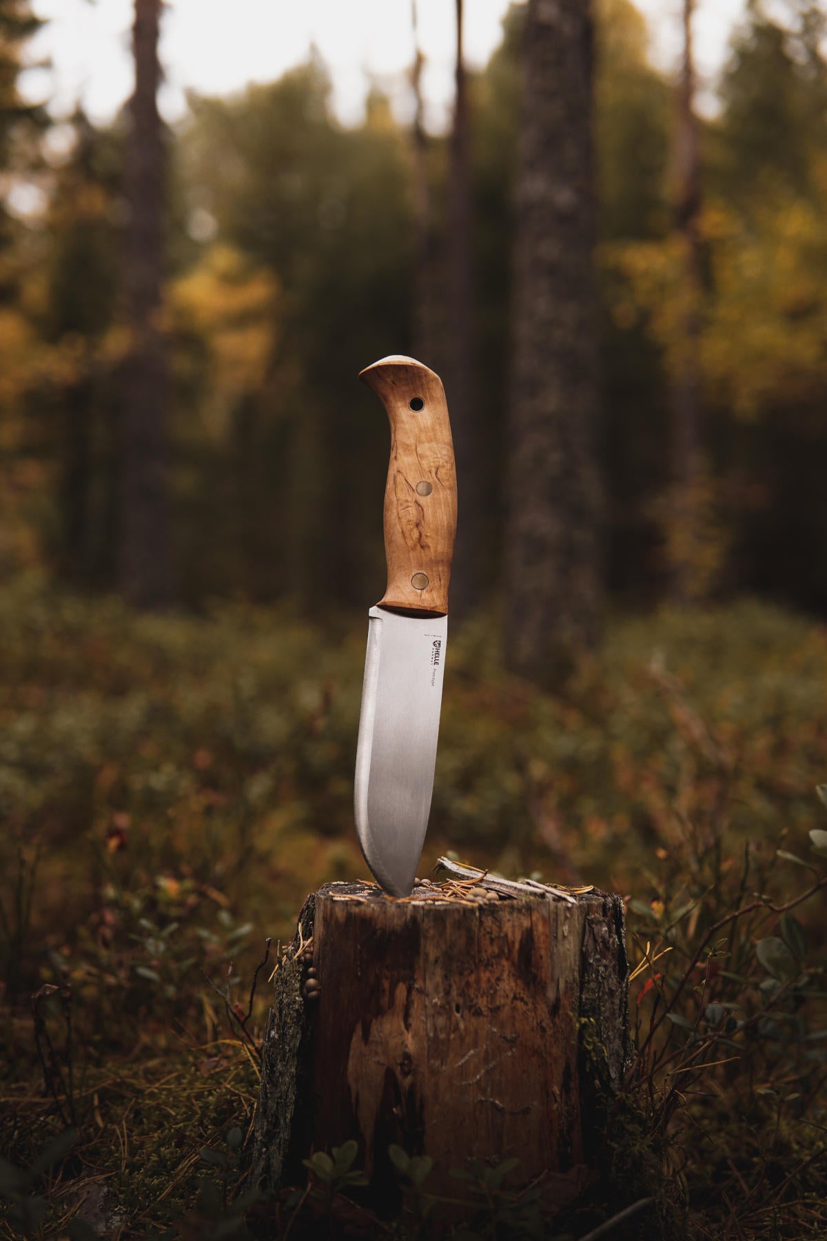 helle-nord-fulltang-outdoormesser-maserbirke-147mm image 7