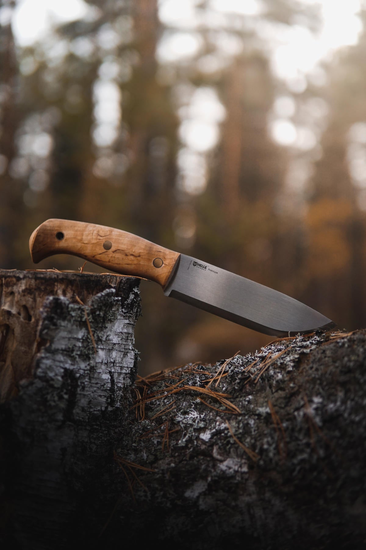 helle-nord-fulltang-outdoormesser-maserbirke-147mm image 8