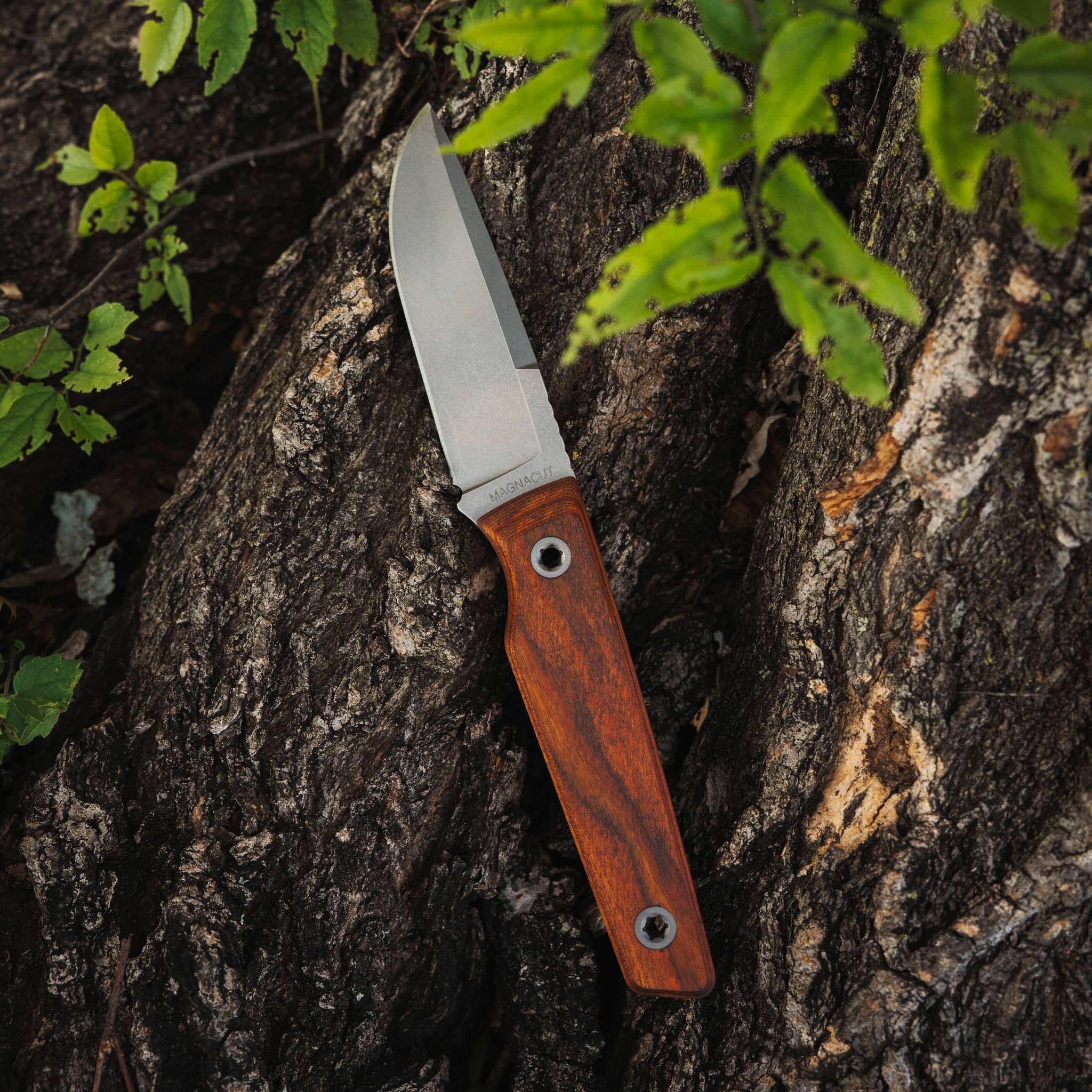 bigidesign-signal-fixed-blade-messer-black-g10-magnacut image 6