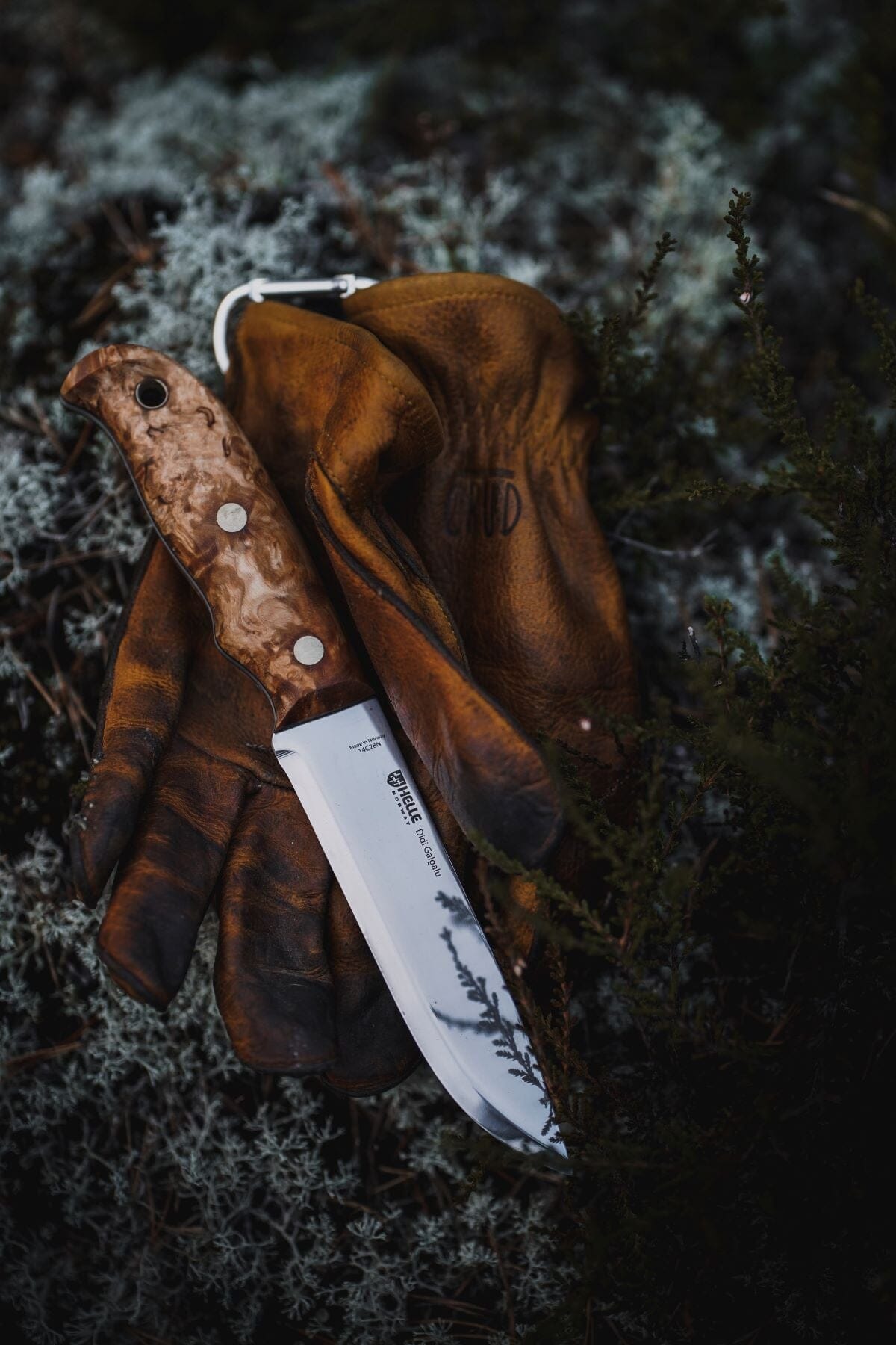 helle-didi-galgalu-outdoormesser-14c28n-maserbirke image 8