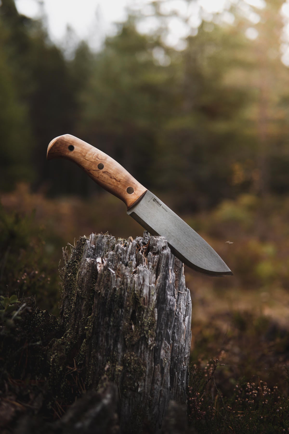 helle-nord-fulltang-outdoormesser-maserbirke-147mm image 6