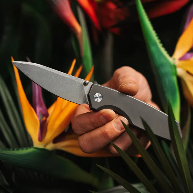 bigidesign-ti-manu-taschenmesser-titan-s90v-drop-point image 1
