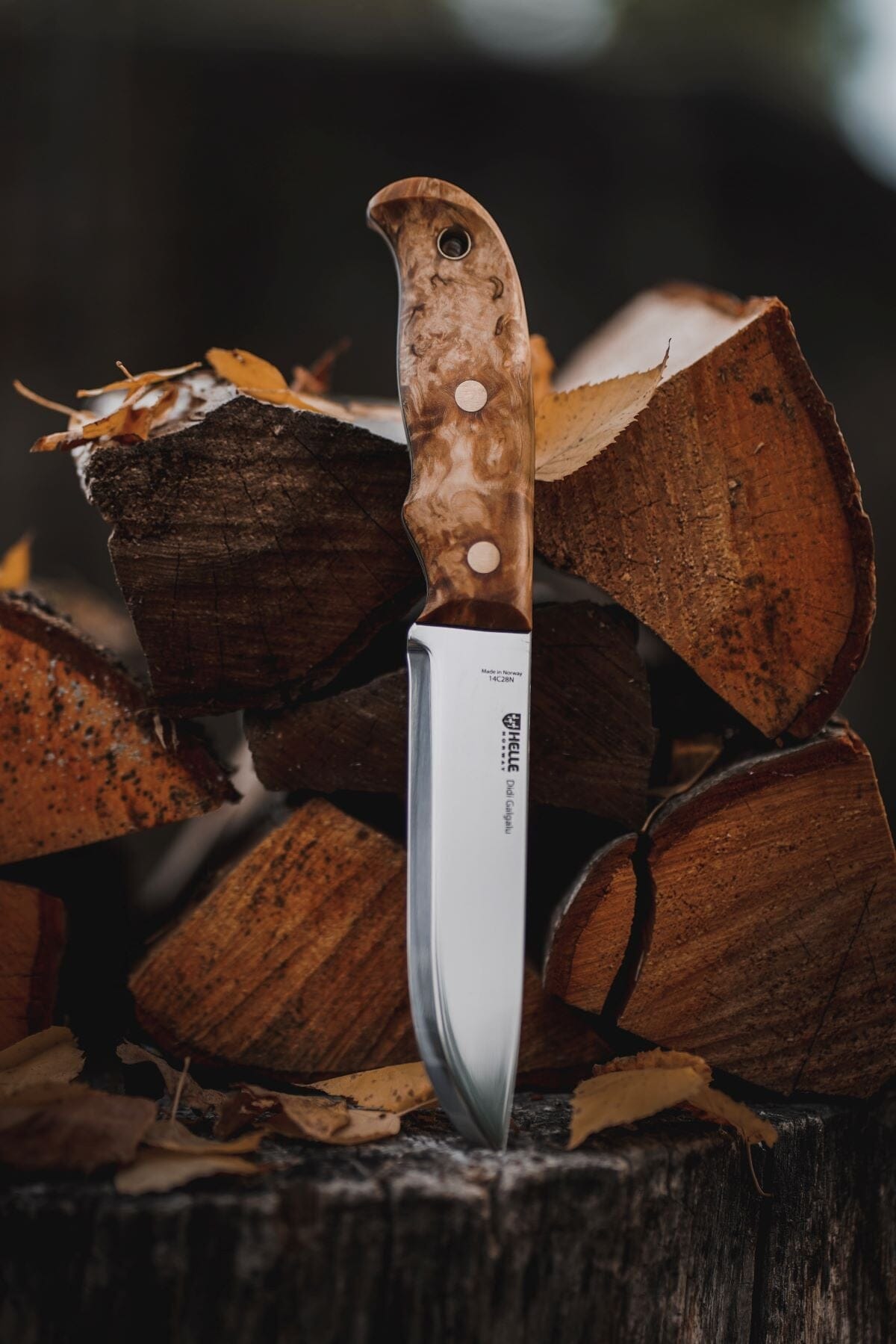 helle-didi-galgalu-outdoormesser-14c28n-maserbirke image 4