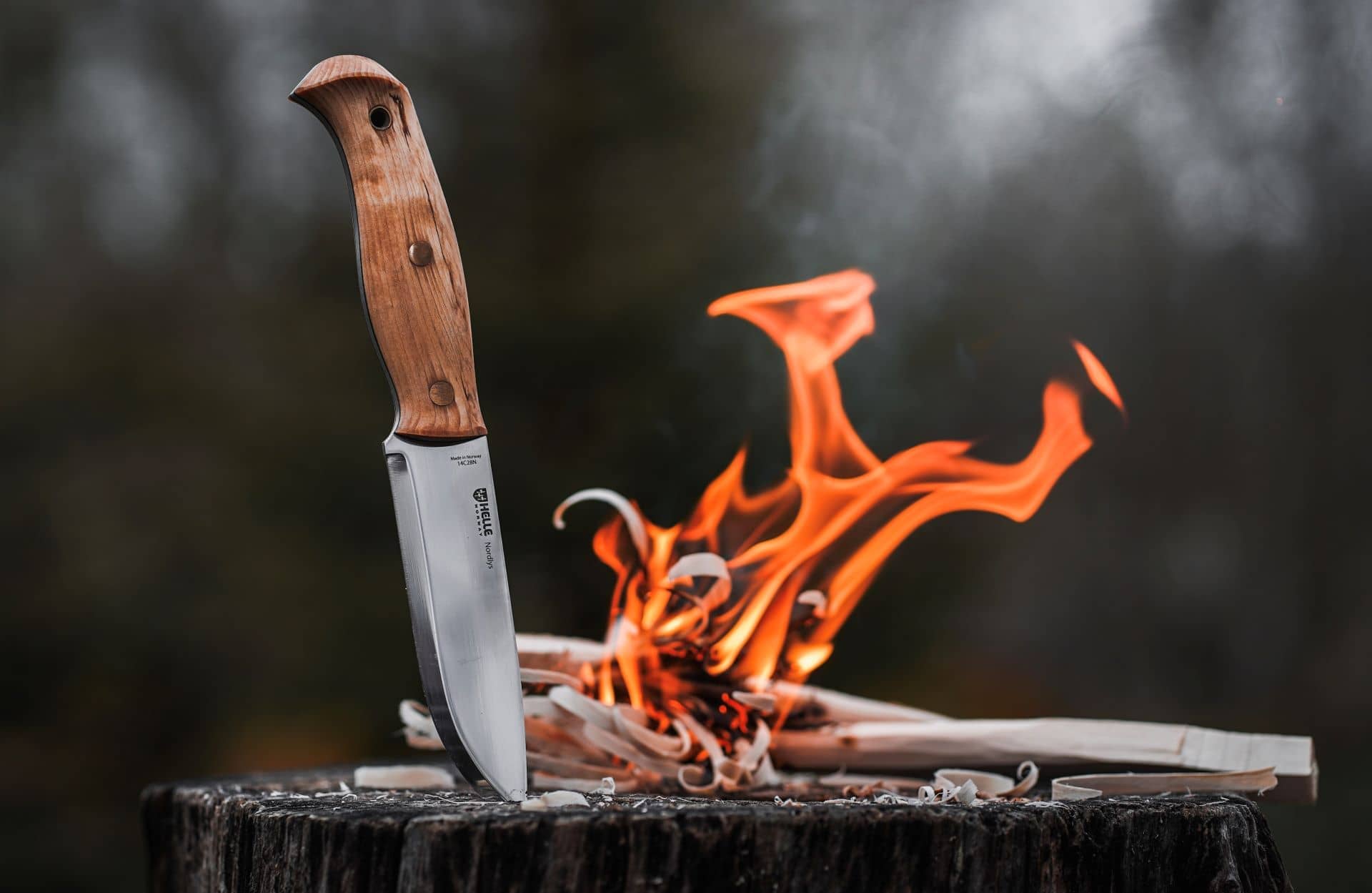 helle-nordlys-bushcraftmesser-fulltang-14c28n-scandi-12-2cm image 6