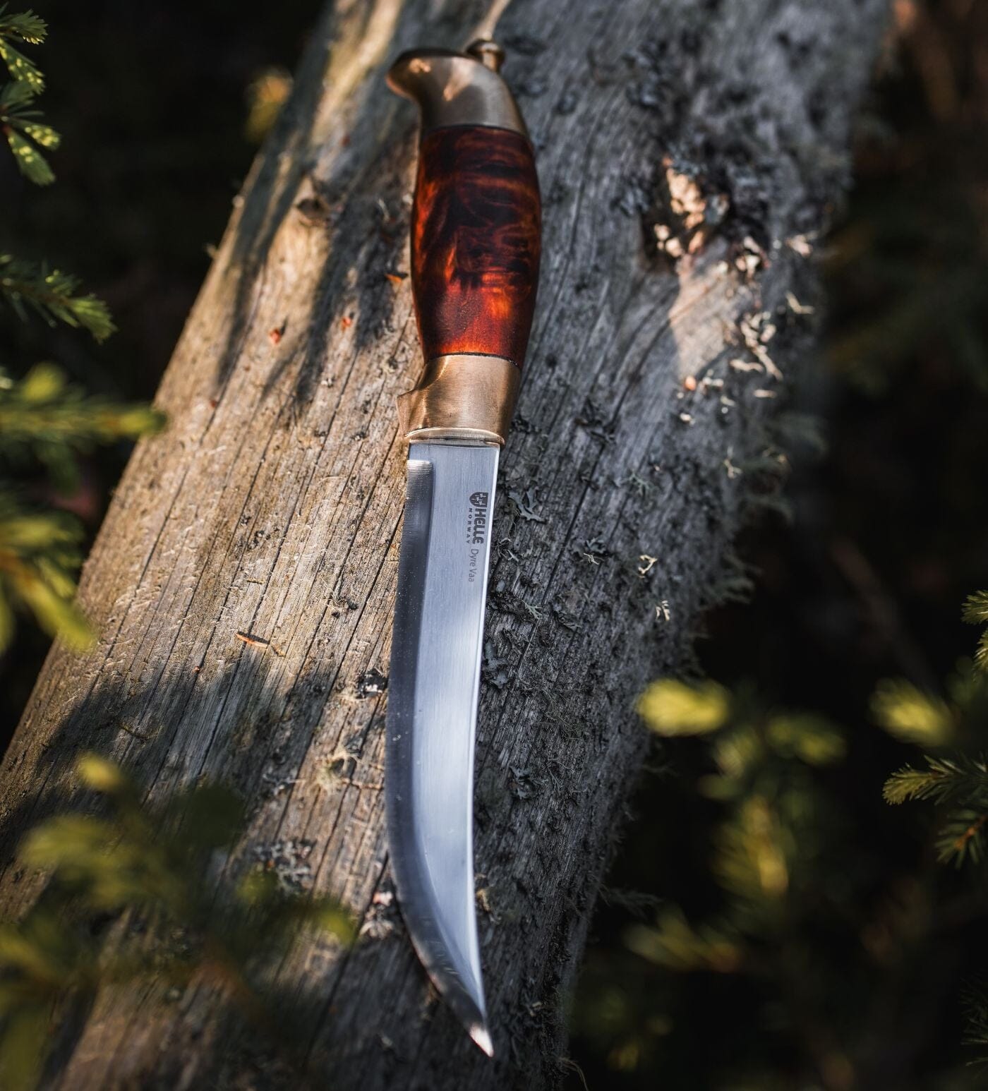 helle-dyre-vaa-outdoor-messer-maserbirke-160-mm image 1